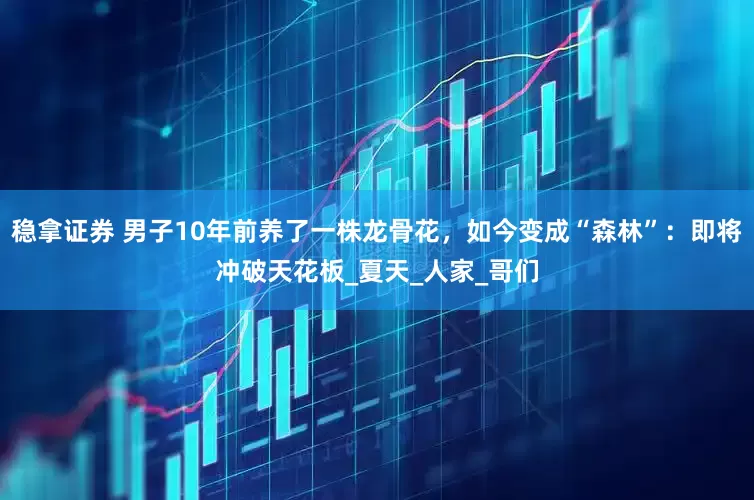稳拿证券 男子10年前养了一株龙骨花，如今变成“森林”：即将冲破天花板_夏天_人家_哥们
