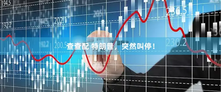 查查配 特朗普，突然叫停！